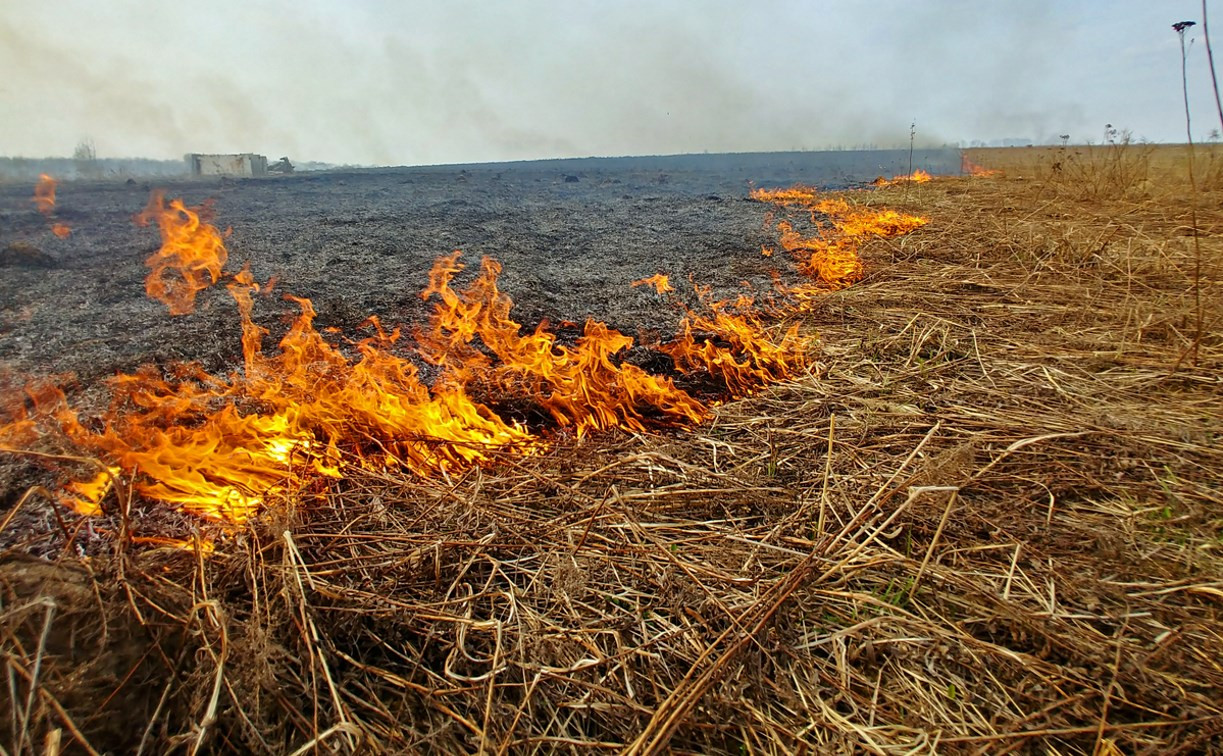 В большинстве районов Тульской области сохраняется высокая пожароопасность