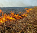 В большинстве районов Тульской области сохраняется высокая пожароопасность