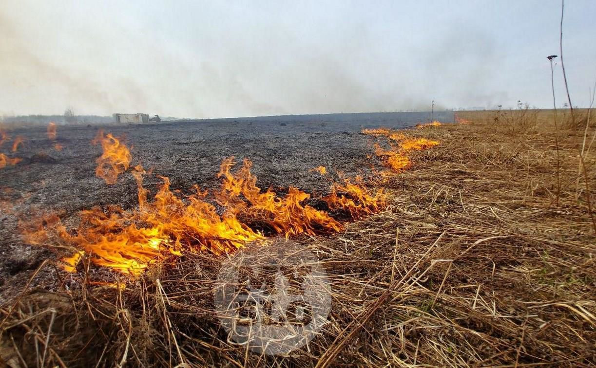 В трех районах Тульской области ожидается высокая степень пожароопасности
