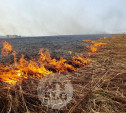 В трех районах Тульской области ожидается высокая степень пожароопасности