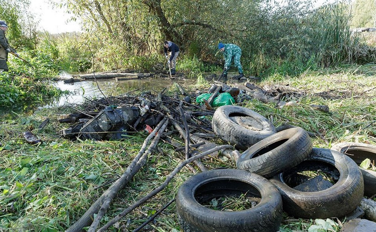 В Туле прошла экологическая акция по расчистке Щегловского ручья