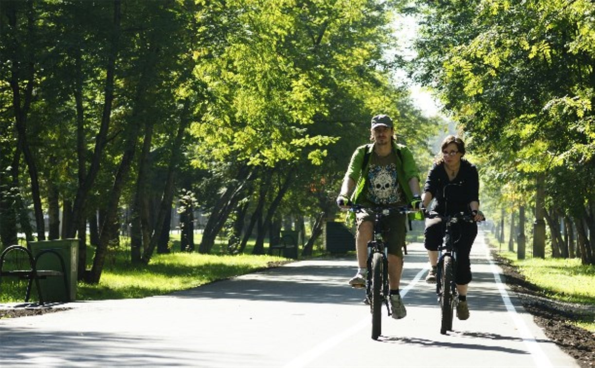 Велодорожки между Комсомольским парком и Баташёвским садом закончат к 1 сентября