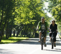 Велодорожки между Комсомольским парком и Баташёвским садом закончат к 1 сентября