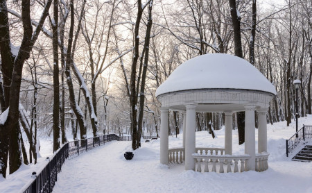 Жизнь Тулы и области