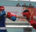 Тульские боксеры успешно стартовали в чемпионате МВД