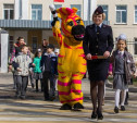 Новомосковские школьники научили взрослых переходить дорогу по «зебре»