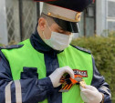 Новомосковские школьники подарили инспекторам ГИБДД броши из георгиевских лент