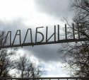Двоих жителей Суворова оштрафовали за посещение кладбища