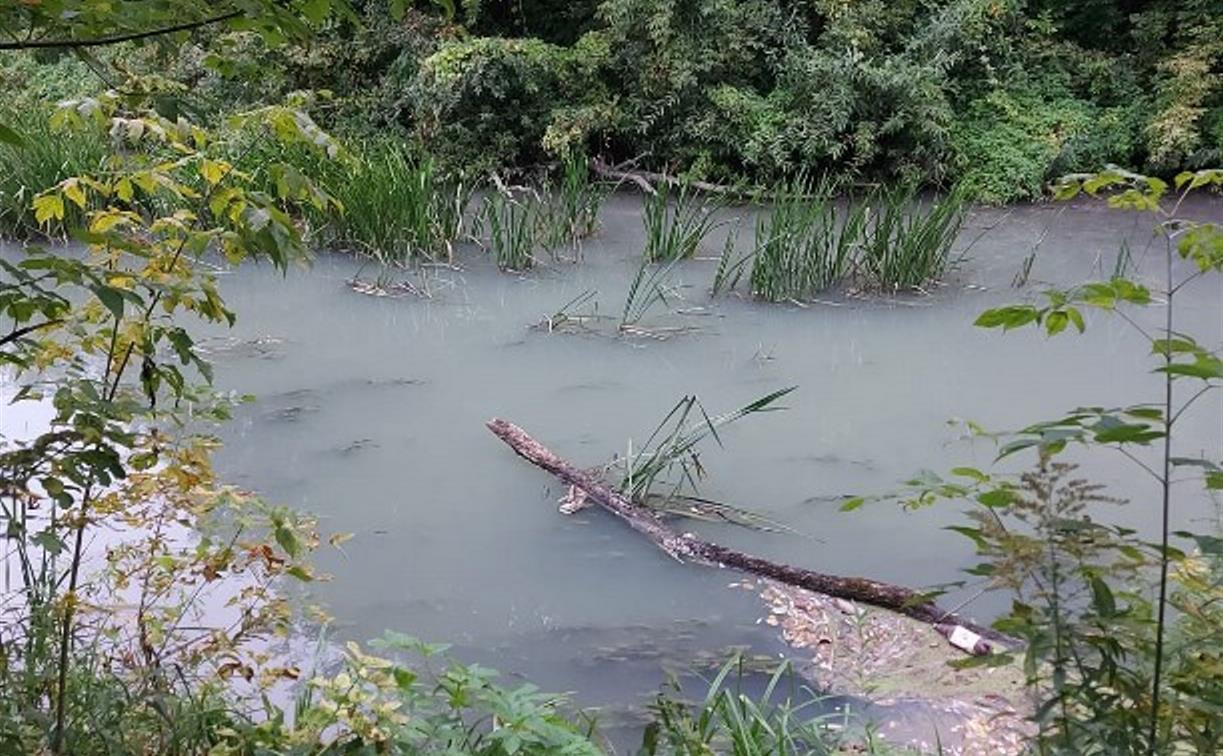 «Белая мутная жижа»: тулячка рассказала о загрязнении реки Тулицы в черте города