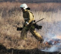 В Тульской области штрафуют поджигателей сухой травы