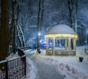 В ночь на 4 декабря в Туле ожидается 15-градусный мороз