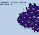 Самые зараженные коронавирусом города Тульской области: карта на 28 мая