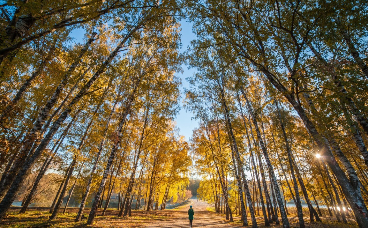 Изменится график работы музея-усадьбы «Ясная Поляна»