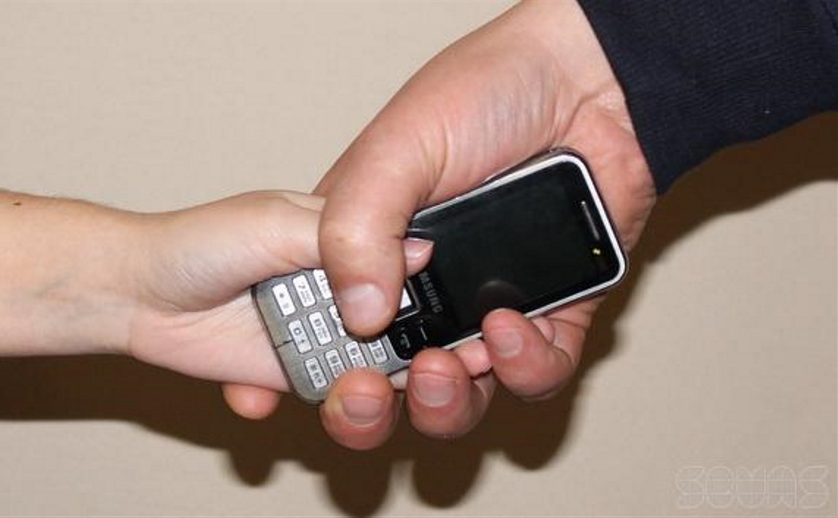 В Туле грабитель-рецидивист пытался украсть телефон у 16-летней девушки 