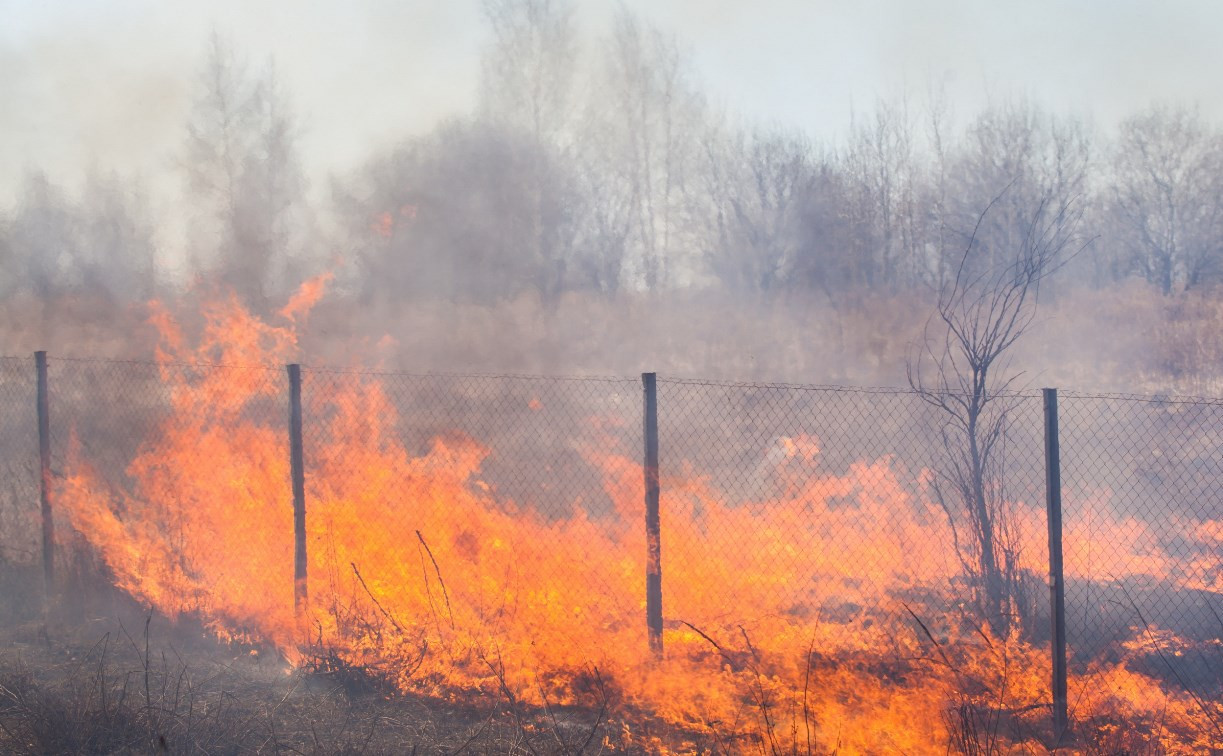 За выходные сотрудники МЧС 400 раз выезжали на пожары в полях