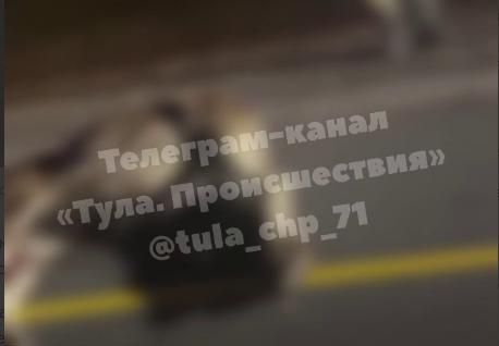 В Туле на Щекинском шоссе сбили лося 