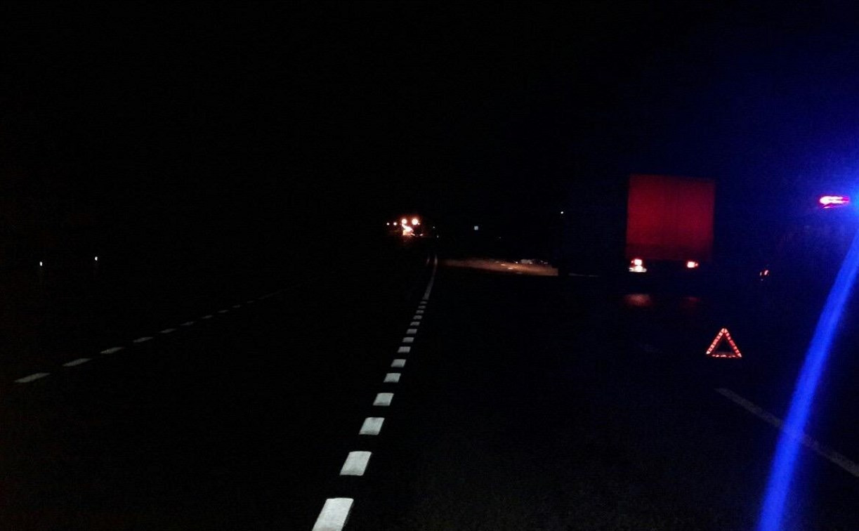 В Тульской области пешеход попал под колеса грузовика