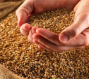 В Ефремовском районе мужчина украл почти 1,5 тонны зерна