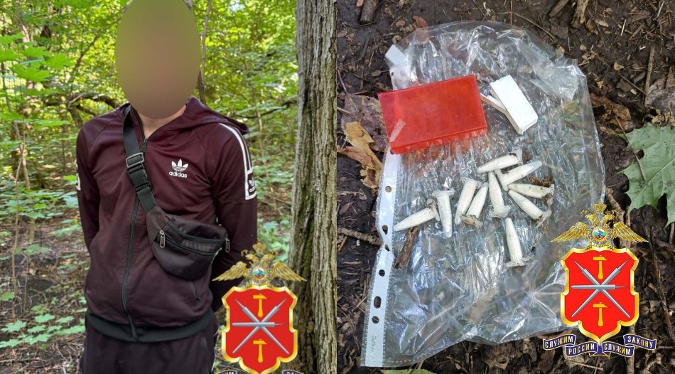 Полицейские задержали «закладчика» из Тулы: наркодилеру грозит до 20 лет колонии 