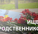 Поисковики из Новомосковска ищут семью красноармейца, погибшего на Дретовском плацдарме