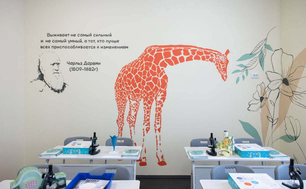 К концу 2026 года у тульских школьников появятся единые учебники по основным предметам