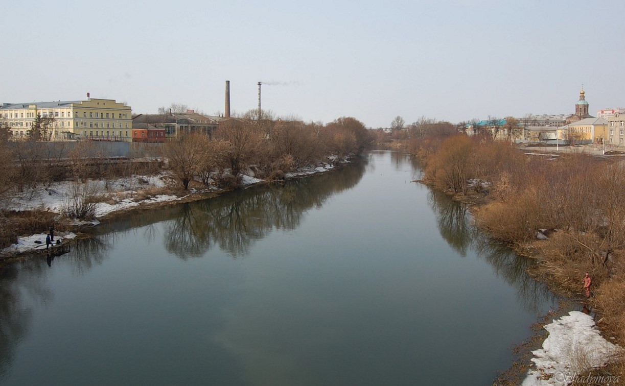 Губернатор об Упе в черте города: «Нужно вернуть реку горожанам!»