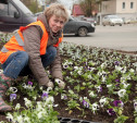 29 апреля в Туле высадили 11 тысяч цветов 