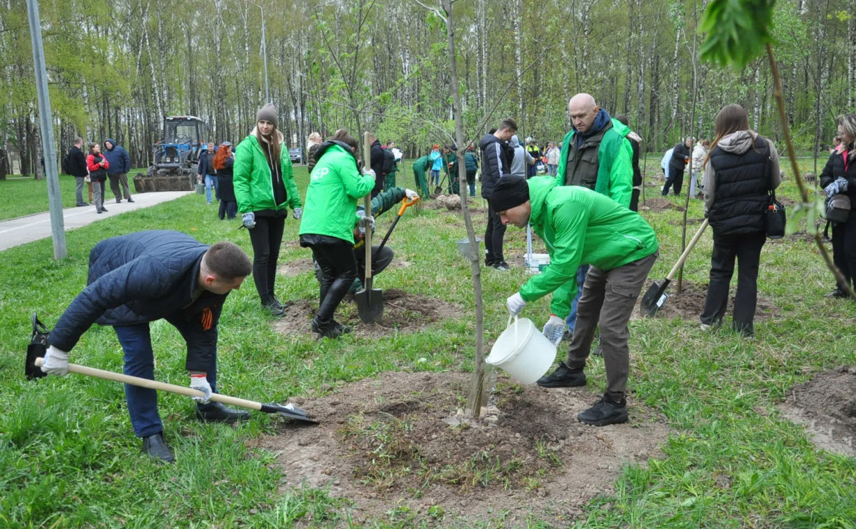 С начала года в тульских парках высадили более 1600 деревьев и кустарников
