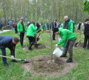 С начала года в тульских парках высадили более 1600 деревьев и кустарников