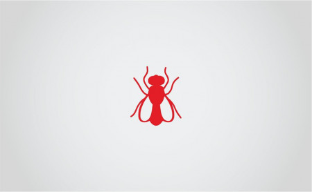 Жизнь Тулы и области