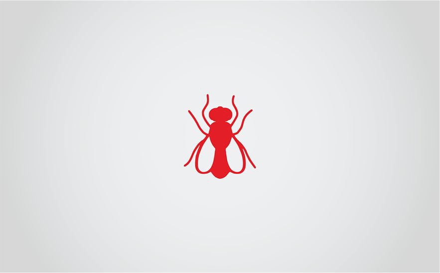 Жители Пролетарского района пожаловались на неприятный запах