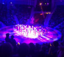 В Туле прошел конкурс-фестиваль циркового искусства «Парад звезд»