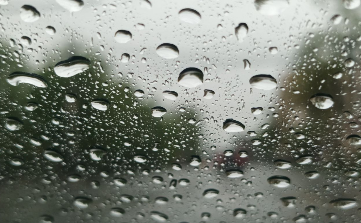 Погода в Туле 9 октября: дождь, ветер и до +15