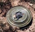 Житель Суворова хранил в своем гараже противотанковую мину