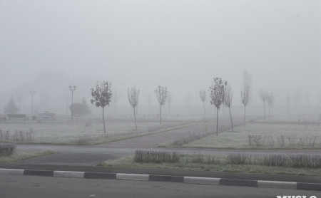 Жизнь Тулы и области