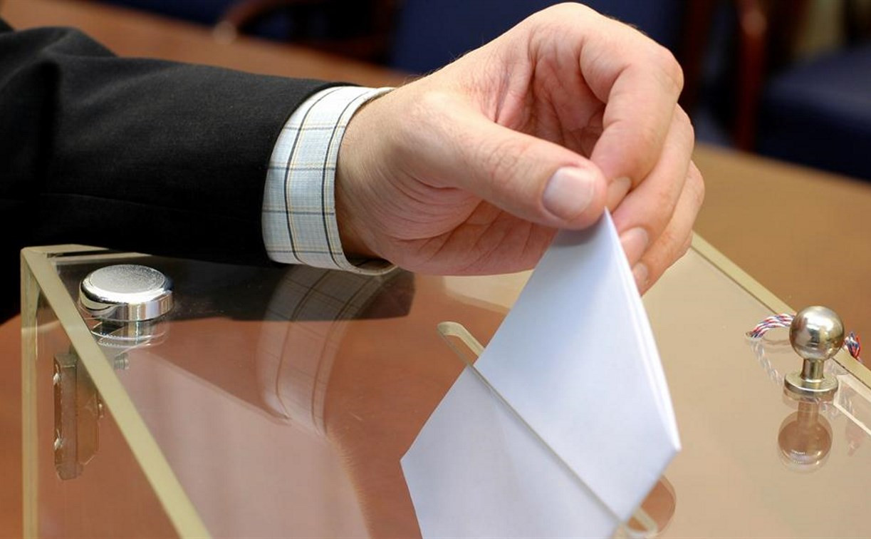 В Тульской области 22 тысячи человек проголосовали впервые