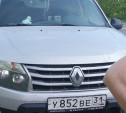 В Тепло-Огаревском районе Renault сбил женщину: нужна помощь очевидцев ДТП