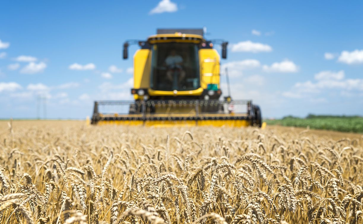 Эксперты назвали самые востребованные вакансии в сельскохозяйственной отрасли в Тульской области