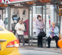 Последние выходные осени в Тульской области будут сухими и безветренными