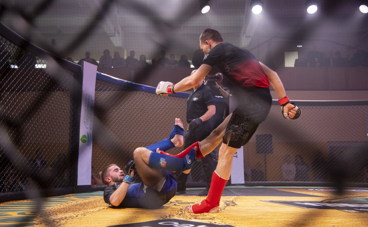 Турнир по ММА памяти Алексея Калинина собрал лучших бойцов страны: фоторепортаж