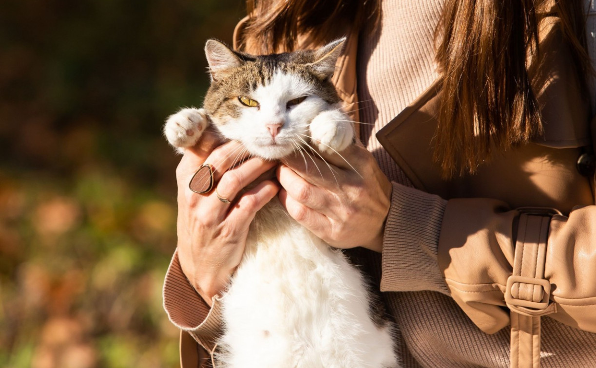 Погода в Туле 7 сентября: переменная облачность и до +24 градусов 