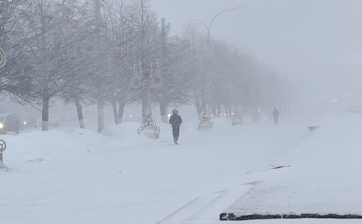 Мощный циклон «Ольга» начал засыпать Центральную Россию снегом