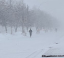 Мощный циклон «Ольга» начал засыпать Центральную Россию снегом