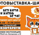 В Тульском экзотариуме откроется «кошачья» фотовыставка