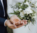 В августе жители Тульской области сыграли 1354 свадьбы