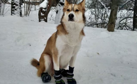 Жизнь Тулы и области