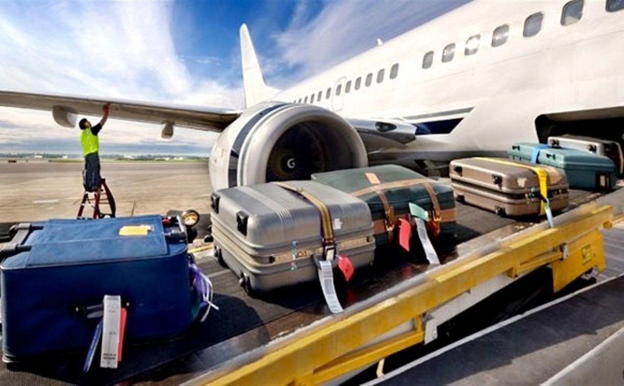 Совет Федерации дал добро на платный провоз багажа в самолетах