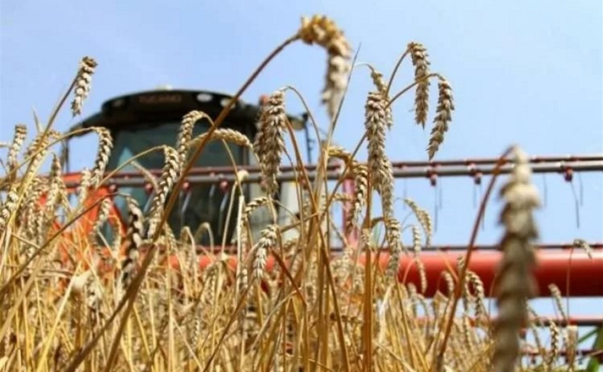 Тульские аграрии начали получать денежную компенсацию за погибший урожай