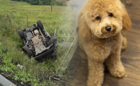 Жизнь Тулы и области