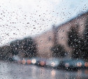 Погода в Туле 31 июля: прохладно, ветрено, местами дождь